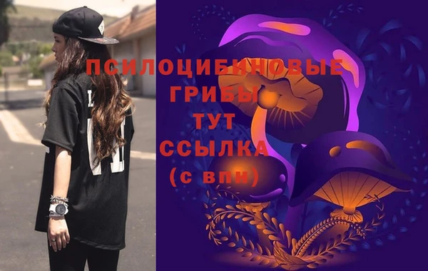 тгк Осинники