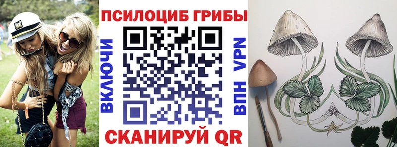 Псилоцибиновые грибы Psilocybe Струнино